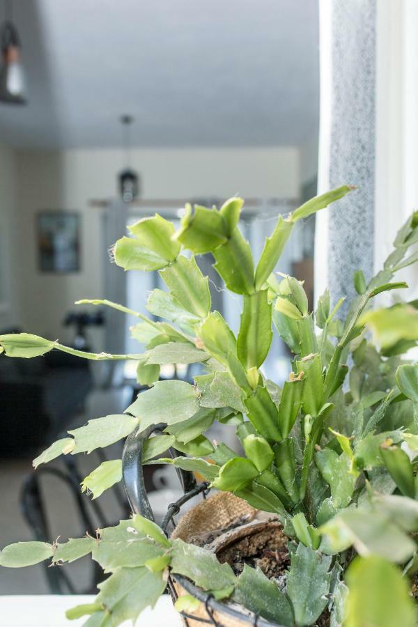 Luxury Skyline Apartment Pelekas Dış mekan fotoğraf